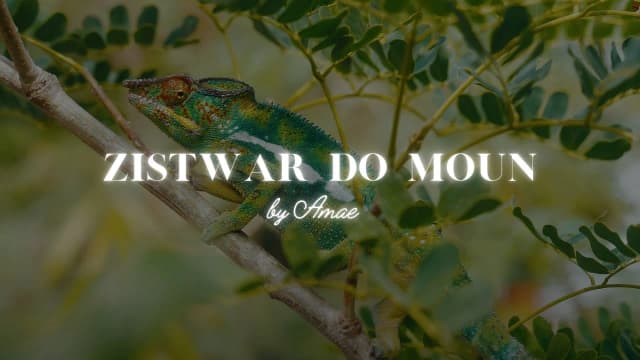 Zistwar do moun - Témoignage - Bonus